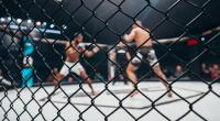 Wer verließ das Oktagon bei UFC 260 als Sieger?