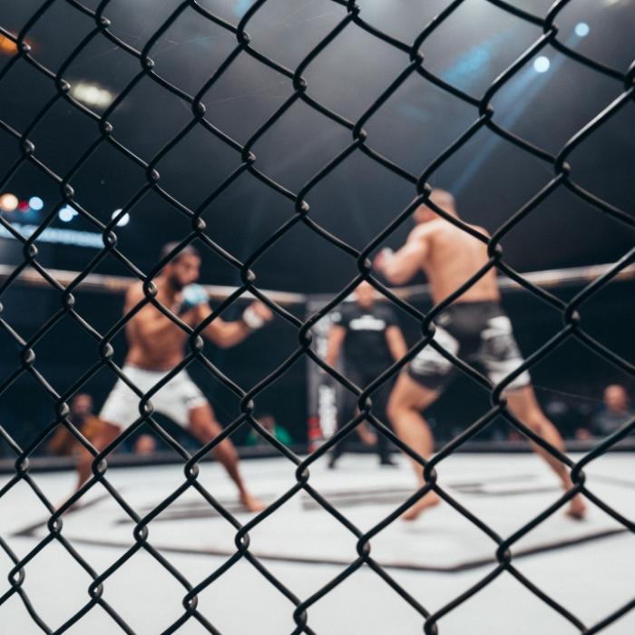 Ngannou entthront Stipe beim Kampf der Kolosse