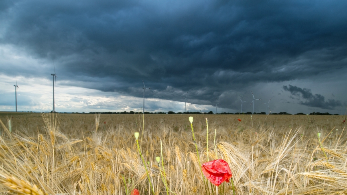 Erwartet uns ein verregneter Juli? (Foto)