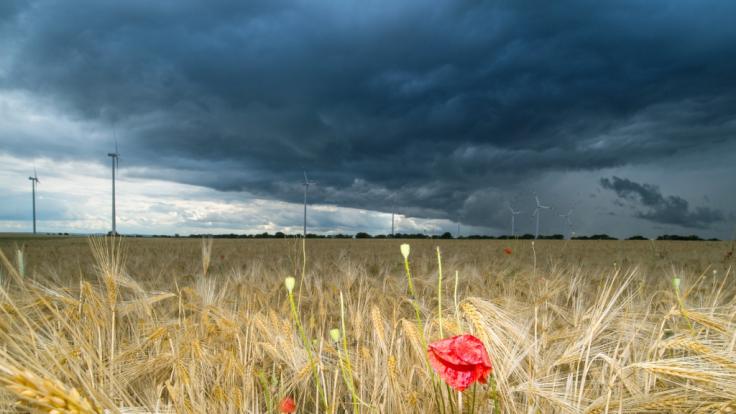 Erwartet uns ein verregneter Juli?