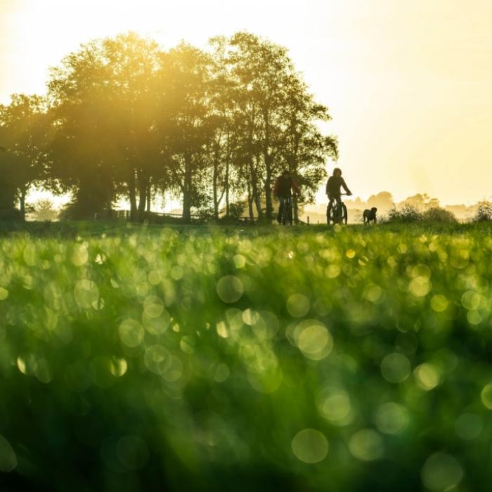 Saharaluft bringt bis zu 20 Grad - und der Deutsche Wetterdienst warnt