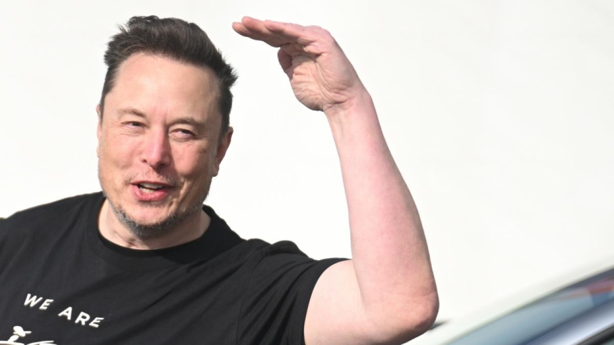 Elon Musk macht mit einer Behauptung &uuml;ber Transpersonen sprachlos. (Foto)