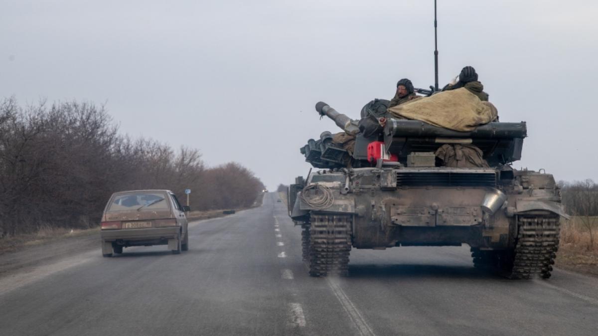 Mehrere russische Soldaten sollen nach einer Bienen-Attacke gestorben sein. (Symbolbild) (Foto)