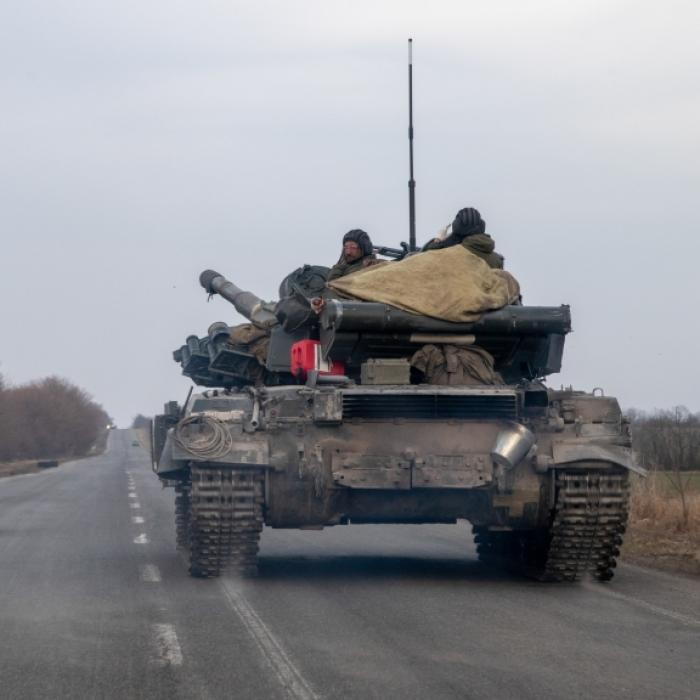 Mehrere Tote! Horror-Bienen töten Putin-Kämpfer bei Angriff in Ukraine