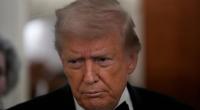 Donald Trump spricht auf einem Flug über die neu veröffentlichten Epstein-Dokumente.