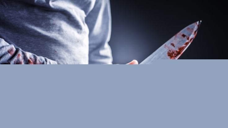 Nachdem ein 44-Jähriger in Mannheim-Wallstadt Polizisten mit einem Messer angriff, wurde der psychisch auffällige Mann von den Beamten erschossen.