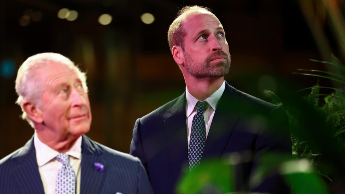 Prinz William zieht im Geheimen bereits die F&auml;den im Palast. (Foto)