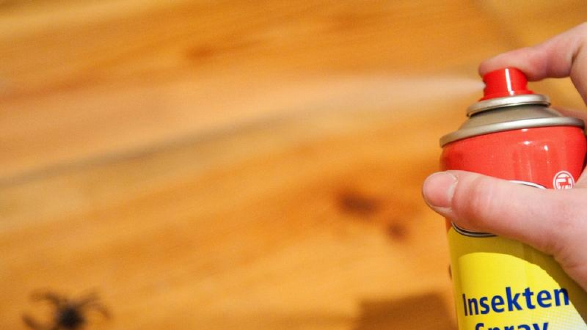 Wenn das M&uuml;sli krabbelt: Tipps gegen Ungeziefer (Foto)