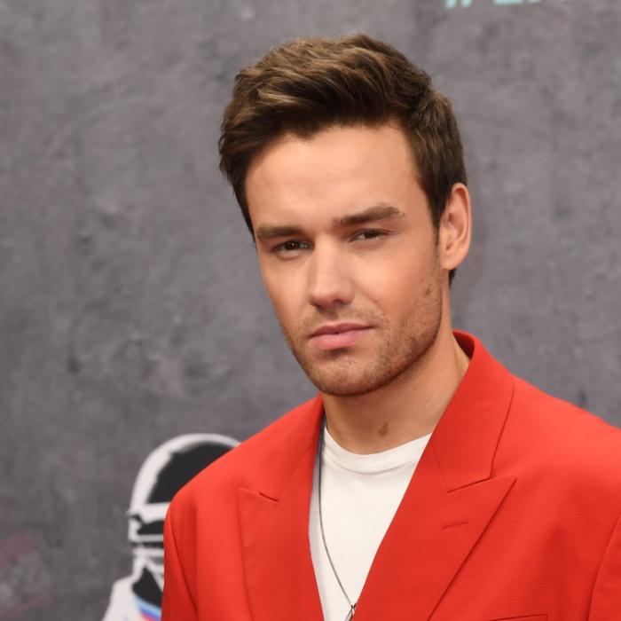 Sänger (31) stirbt nach Balkonsturz - One Direction nehmen Abschied