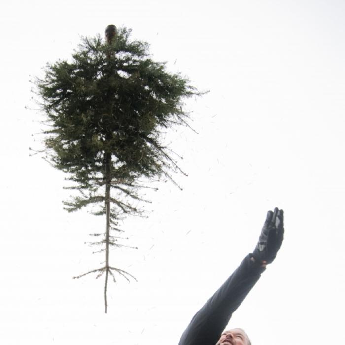 Clevere Tricks! So hält sich Ihr Weihnachtsbaum länger