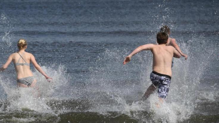 Wegen der Erderwärmung breiten sich in der Ostsee sogenannte Vibrionen aus.