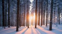 Wie wird das Winter-Wetter 2021/22?