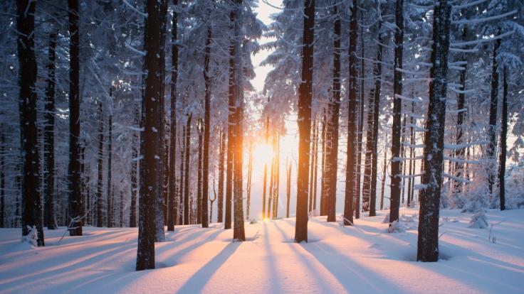 Winter Wetter 2021 22 In Deutschland Eiszeit Zu Weihnachten Meteorologen Geben Schock Prognose News De