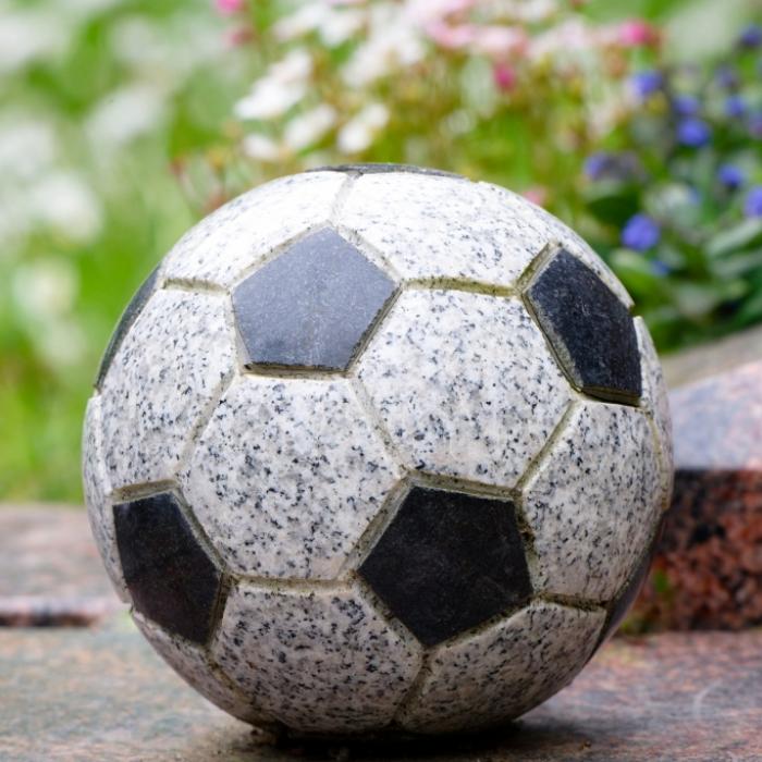 Drama bei Regionalliga-Spiel - Stadionsprecher kollabiert und gestorben