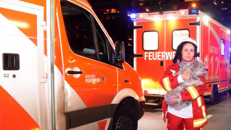 Die Berliner Polizei wurde zu einem Wohnungsbrand in der Leipziger Straße in Mitte gerufen und rettete dort drei Bewohner und einen Hund aus den Flammen.
