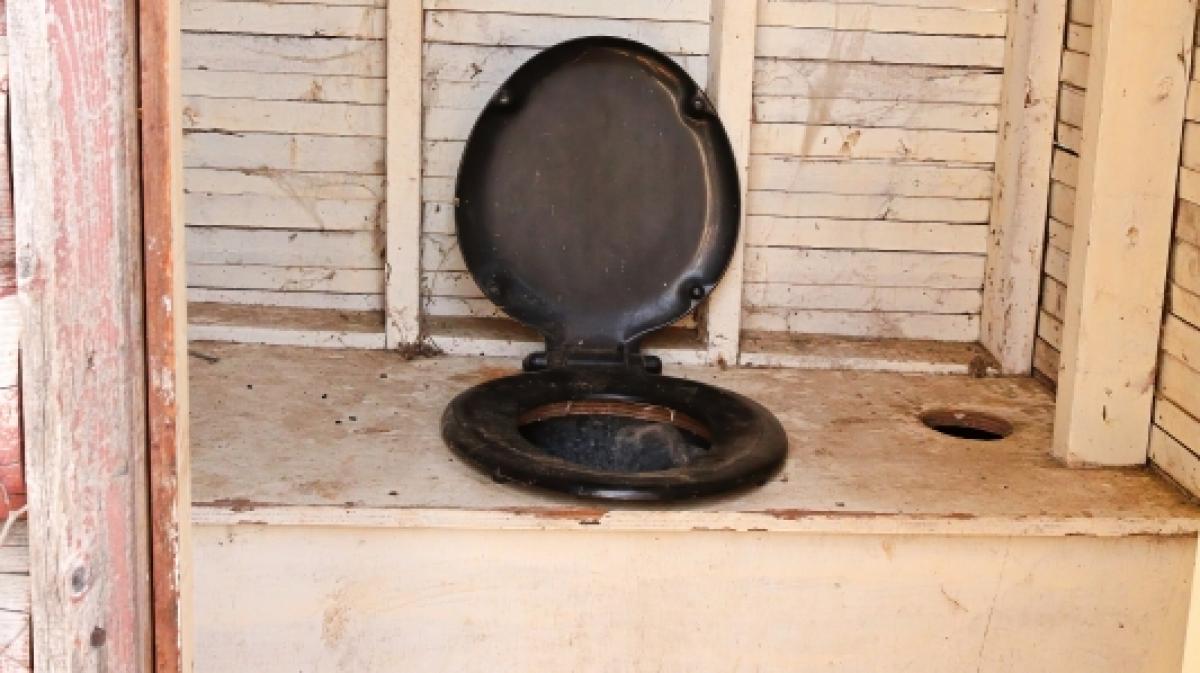 Ein primitives Plumpsklo wurde einem dreij&auml;hrigen M&auml;dchen in S&uuml;dafrika zum t&ouml;dlichen Verh&auml;ngnis (Symbolfoto). (Foto)