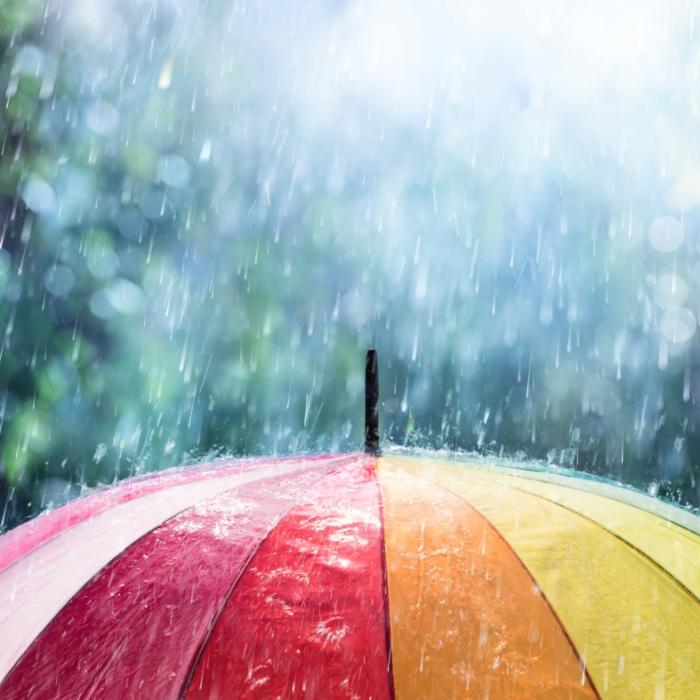Wetterdienst warnt vor Gewitter und Regen! Der Wetterbericht