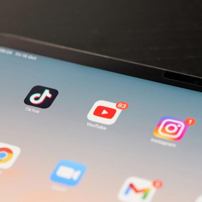 Wurde die Tierschutz-Influencerin (29) in den Selbstmord getrieben?