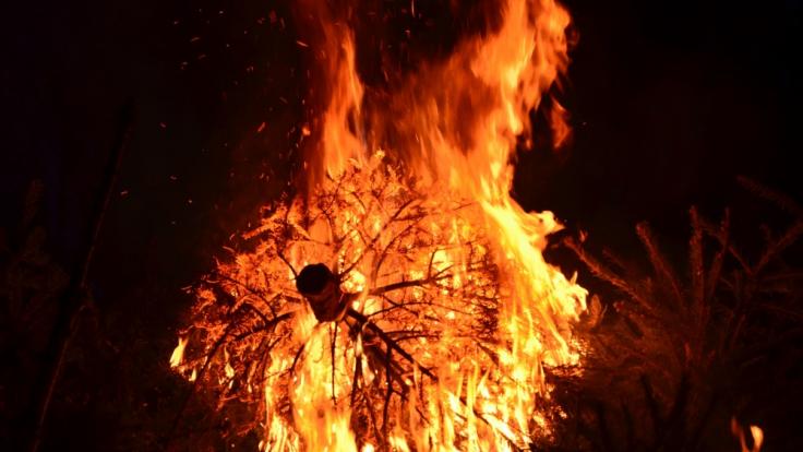 Ein brennender Christbaum hat in Mönchweiler eine Doppelhaushälfte in Brand gesetzt.