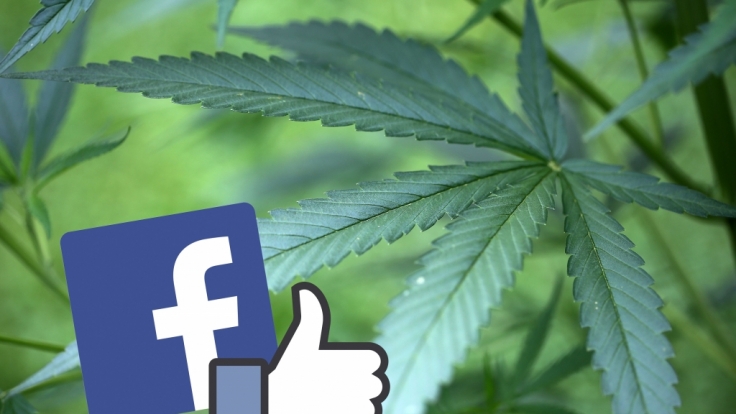 Der Handel mit Marihuana boomt in den Staaten, in denen es legalisiert wurde. Da war es nur eine Frage der Zeit, dass das passende Social Network für Kiffer an den Start ging.
