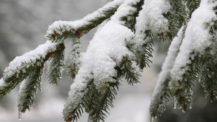 Droht uns jetzt Winter-Wetter?