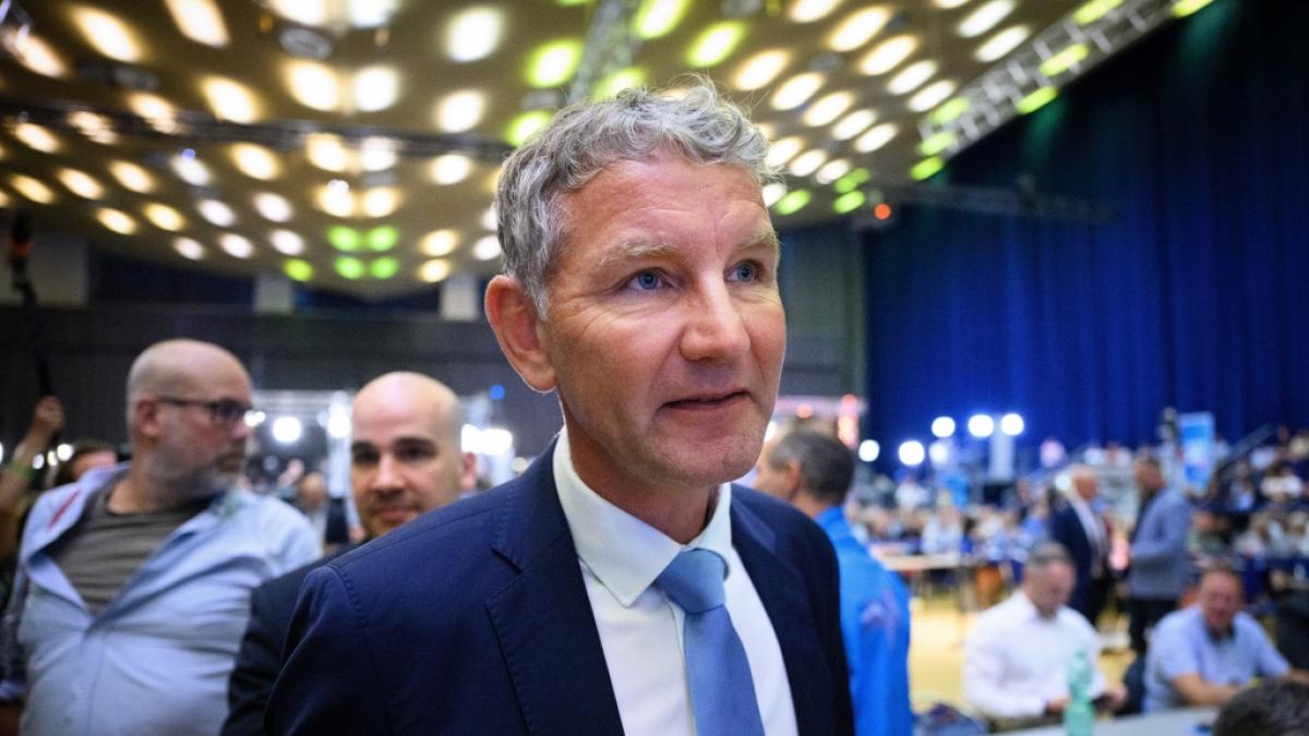 Sind die Wahlversprechen von Bj&ouml;rn H&ouml;cke &uuml;berhaupt umsetzbar? (Foto)