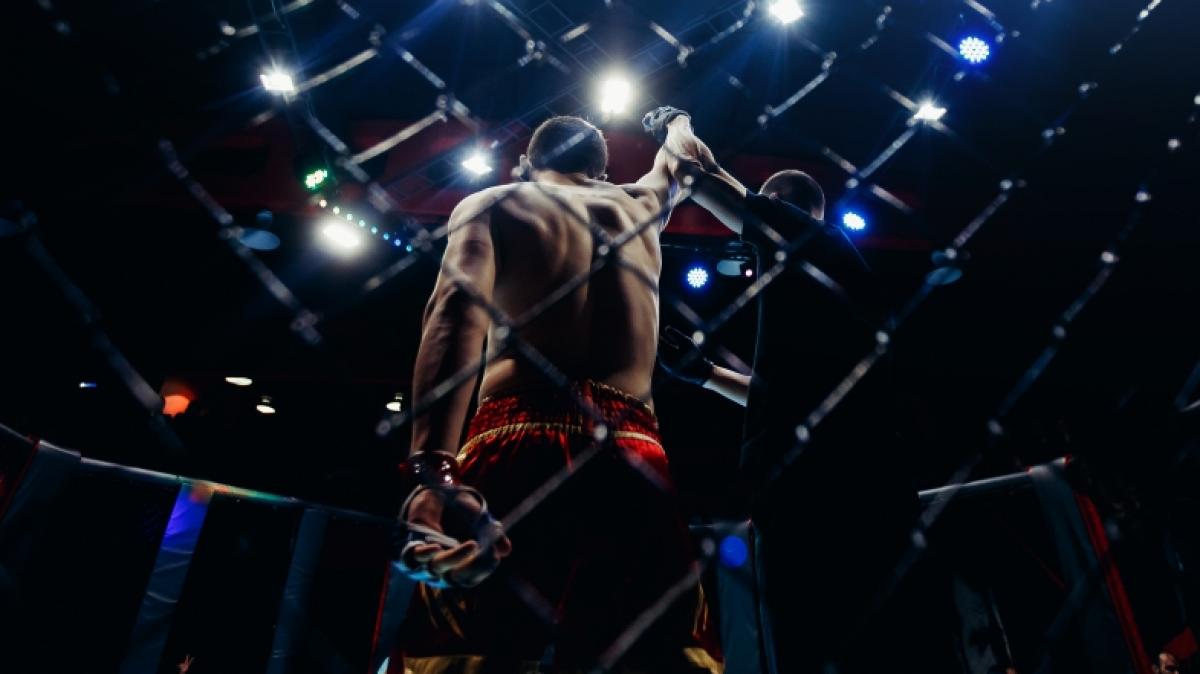 Wer schnappt sich den WM-Titel bei UFC 287? (Foto)