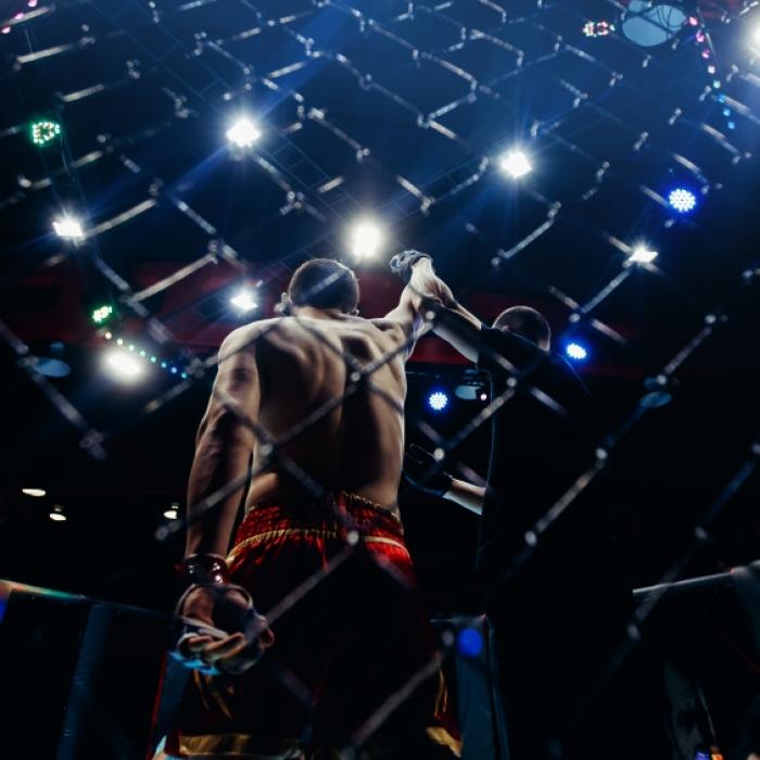 Israel Adesanya besiegt Alex Pereira durch K.o. in Runde 2