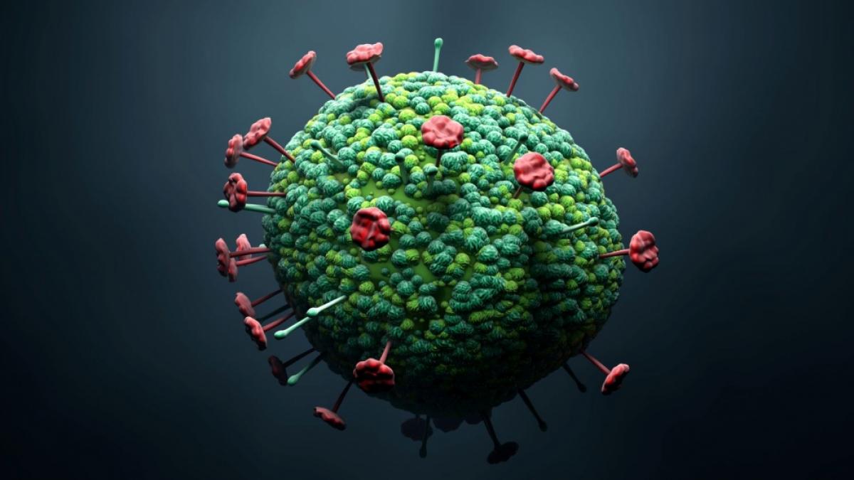 In Indien ist ein 14-j&auml;hriger Junge durch das Nipah-Virus gestorben. (Foto)