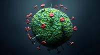 In Indien ist ein 14-jähriger Junge durch das Nipah-Virus gestorben.