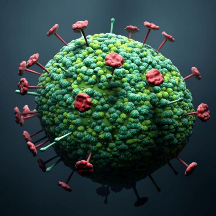 Gefährliches Virus in Indien ausgebrochen - Junge (14) gestorben