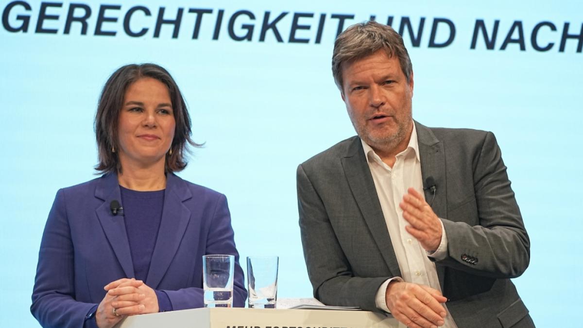 Die Staatsanwaltschaft ermittelt gegen den gesamten Gr&uuml;nen-Vorstand. (Foto)