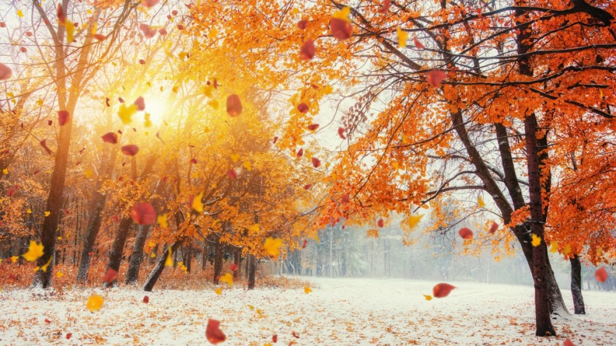 Droht uns im November ein fr&uuml;her Wintereinbruch? (Foto)