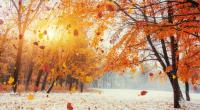 Droht uns im November ein früher Wintereinbruch?