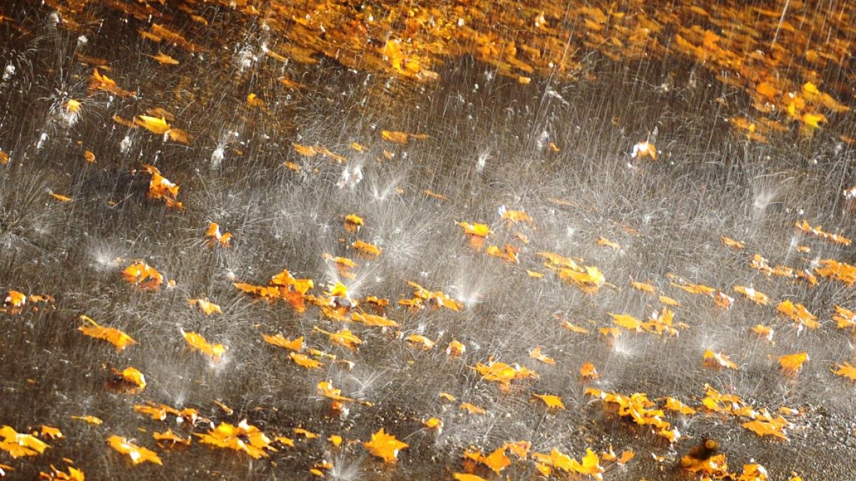 Der Start in die letzte Oktober-Woche 2022 mag zwar von milden Temperaturen begleitet sein, doch Regenschauer und Sturm sind ebenfalls vorhergesagt. (Foto)