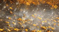 Der Start in die letzte Oktober-Woche 2022 mag zwar von milden Temperaturen begleitet sein, doch Regenschauer und Sturm sind ebenfalls vorhergesagt.