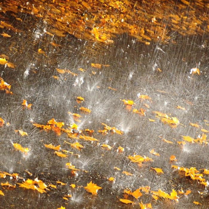 Spätsommer-Hauch zum Wochenstart mit Regen und Sturm im Schlepptau