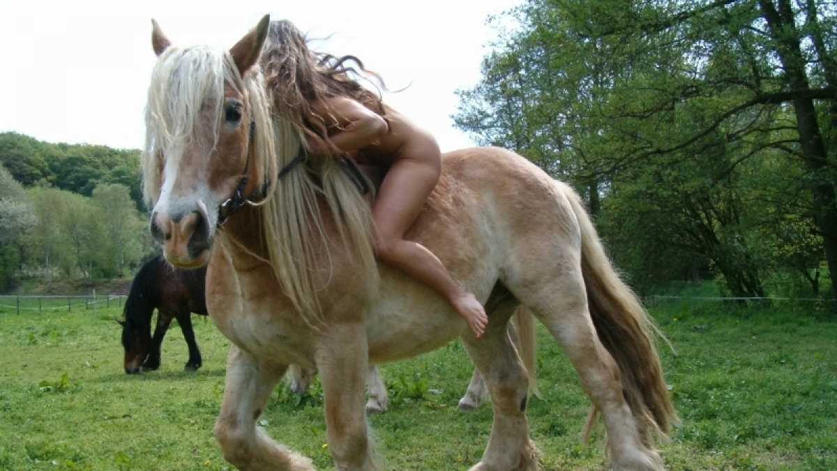 Eins sein mit Pferd und Wiese: F&uuml;r die Nacktreiter geht das am besten ohne Klamotten. (Foto)