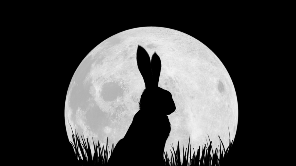 Netflix wagt sich an ein Remake von "Watership Down". (Foto)