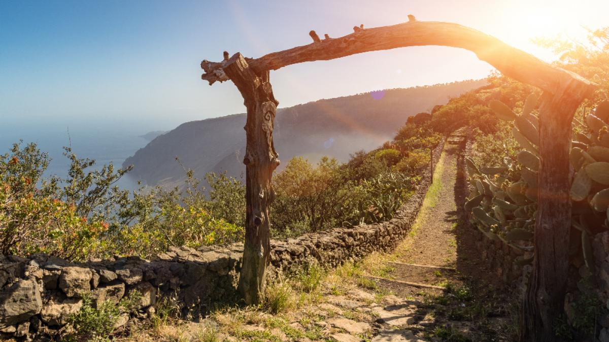El Hierro &ndash; ein untersch&auml;tztes Paradies! (Foto)