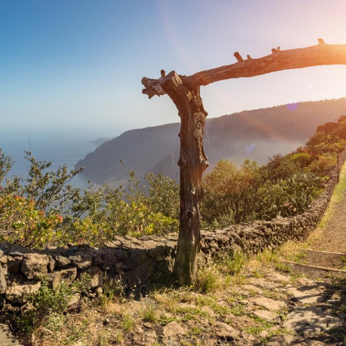 Derzeitige Temperaturen des Atlantiks und in El Pinar, Timijiraque, Sabinosa und co. im Überblick