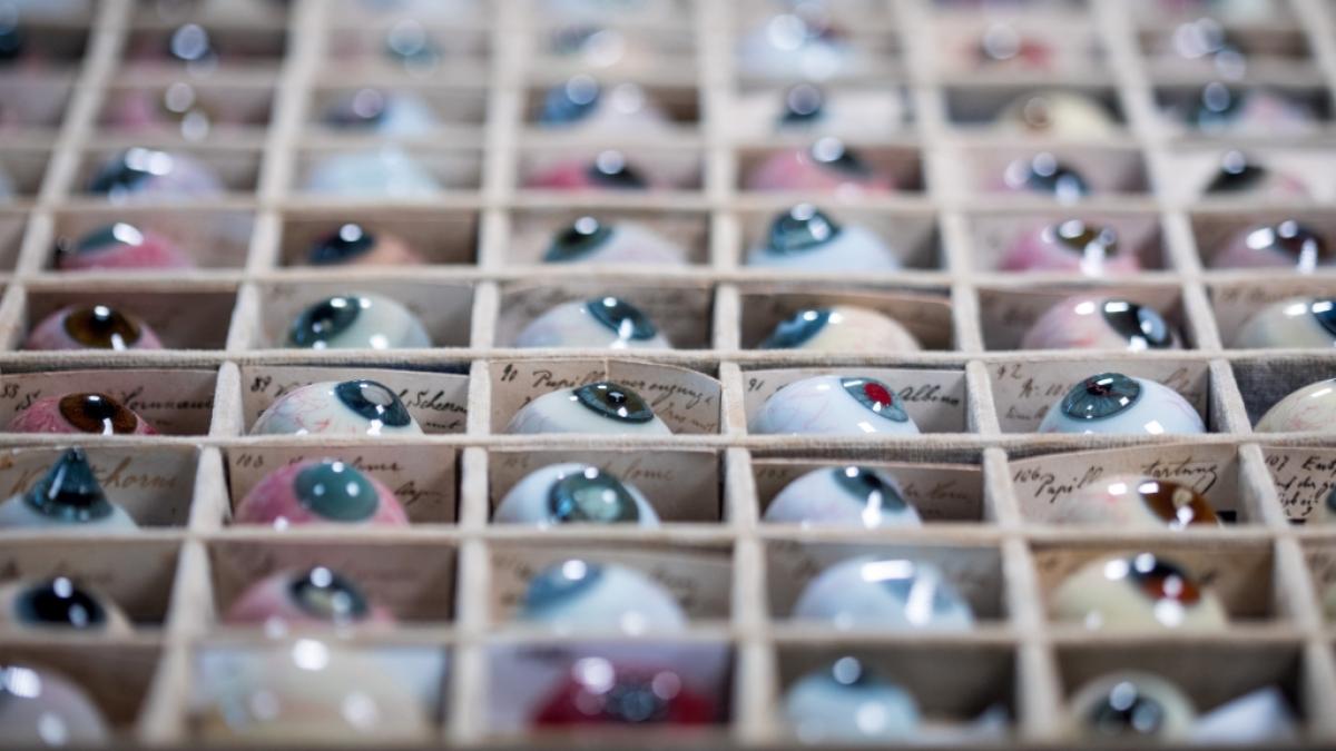 Erkrankungen des Auges gibt es viele. Im Museum f&uuml;r Augenmedizin gibt es Glasaugen, an denen &Auml;rzte fr&uuml;her lernten, Krankheiten zu erkennen. (Foto)