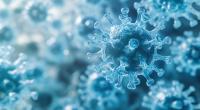 Ein neues Virus sorgt aktuell für eine Krankheitswelle