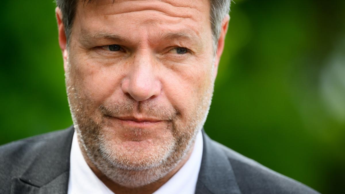 Hat sich Robert Habeck verrechnet? (Foto)