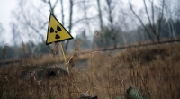 Ein Strahlenwarnzeichen steht in der Sperrzone um das explodierte Atomkraftwerk Tschernobyl.