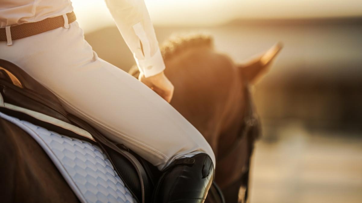 Aktuelle Reitsport-Nachrichten lesen Sie hier auf news.de. (Foto)