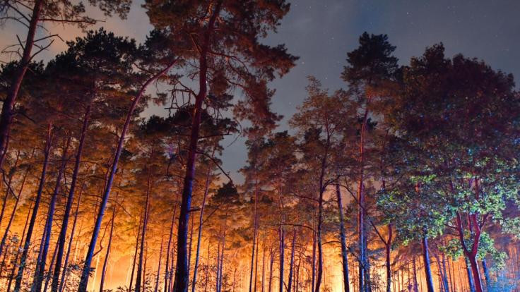 Hell erleuchtet ist ein brennender Wald nahe Klausdorf. Ein Feuer hat sich im Südwesten Brandenburgs auf einer großen Waldfläche ausgebreitet.