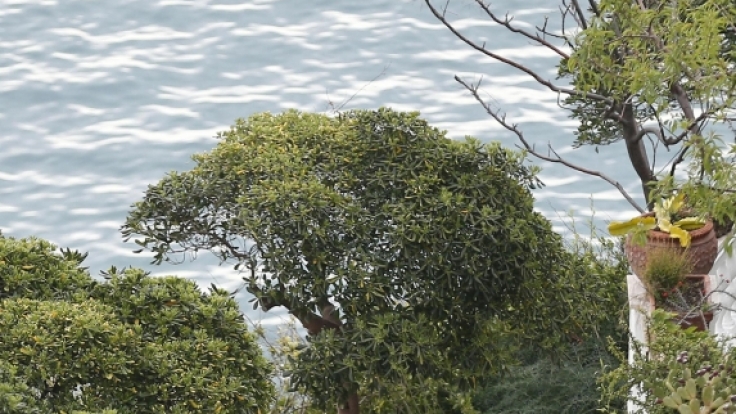 Auf Ischia verbringt Angela Merkel traditionell ihren Oster-Urlaub.