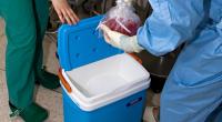 Eine 43-Jährige hat ihre tote Enkelin in eine Gefrierbox gestopft.