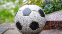 Die Fußball-Welt trauert Tendai Ndoro. Der ehemalige Nationalspieler starb mit nur 40 Jahren. (Symbolfoto)